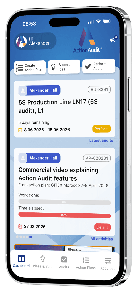 action audit mobile