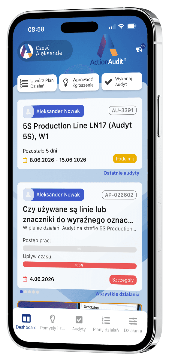action audit mobile