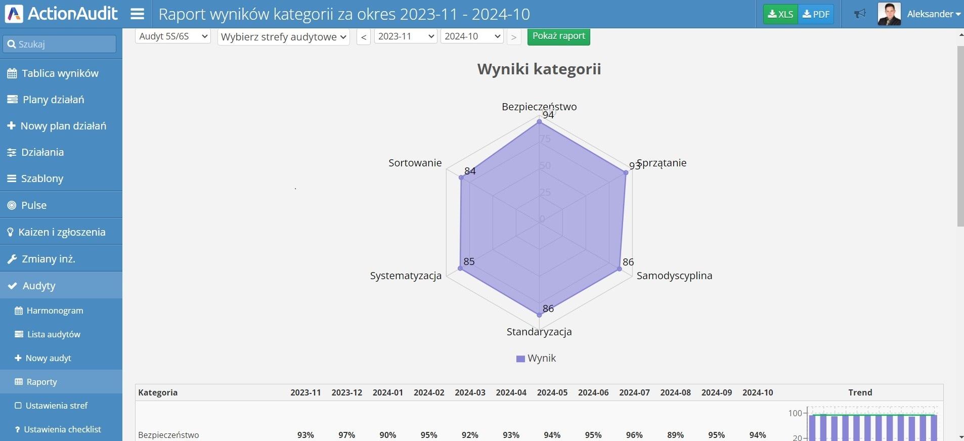 raport wynikow kategorii