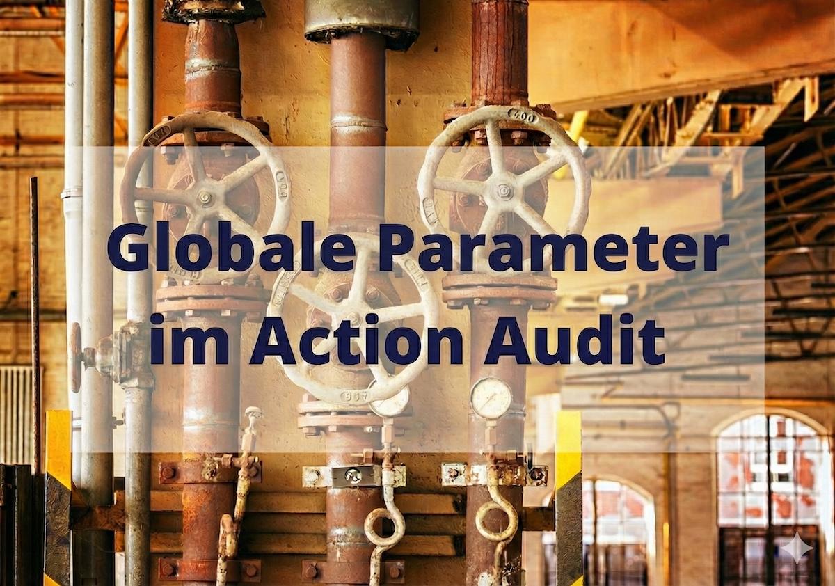Wie Sie Action Audit mit globalen Parametern an die Anforderungen Ihrer Organisation anpassen