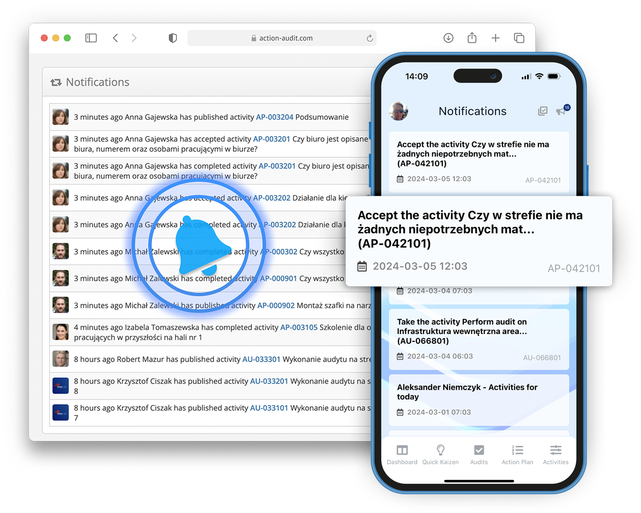 Audit view in Action Plan Pulse