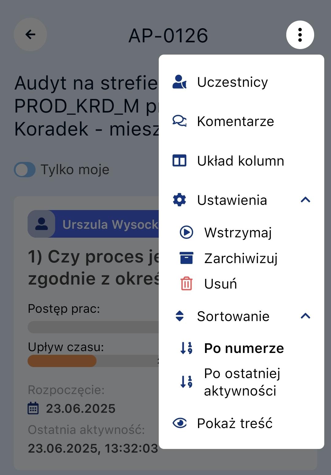 Ustawienia planu działań