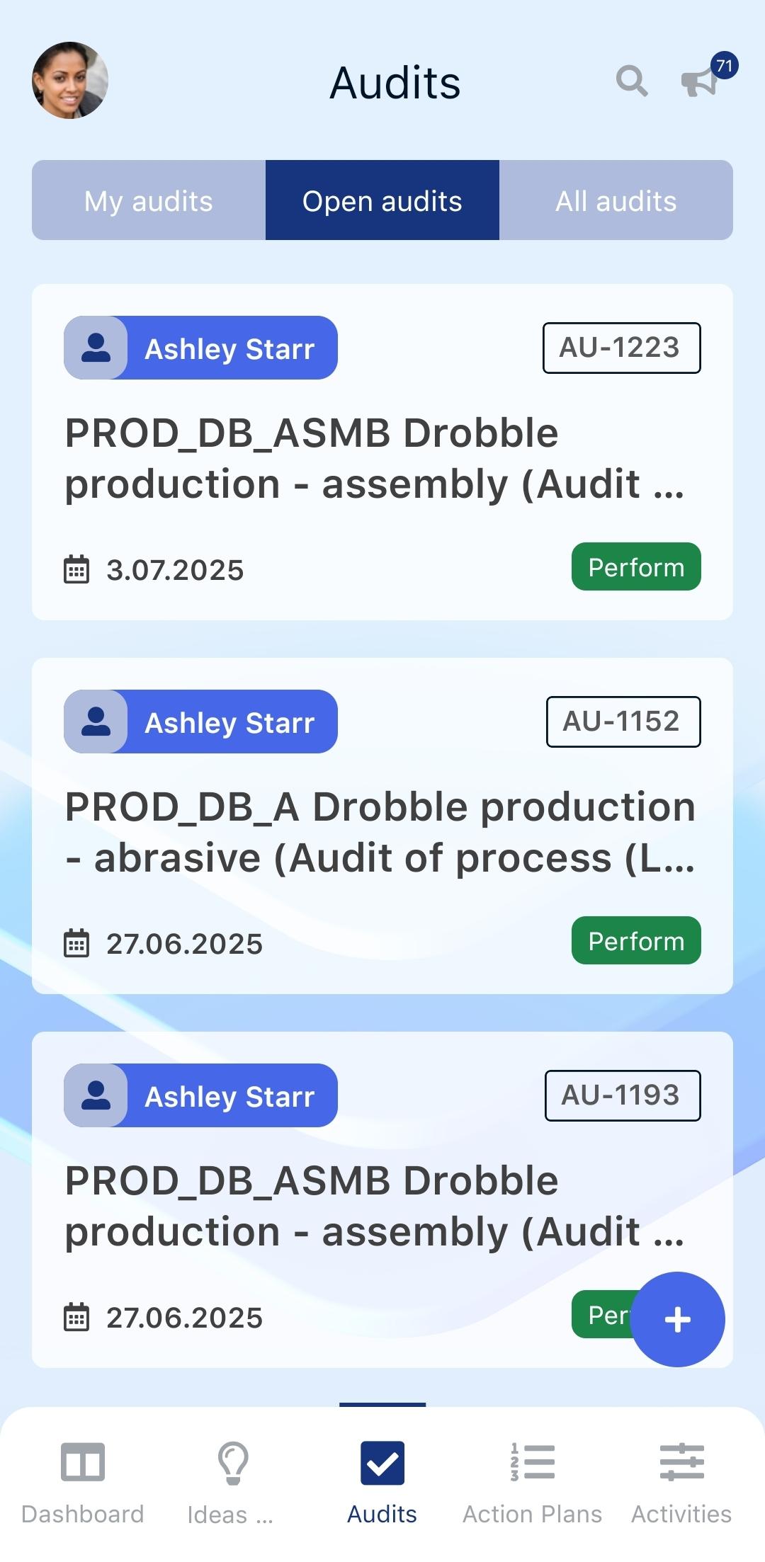 Audit list