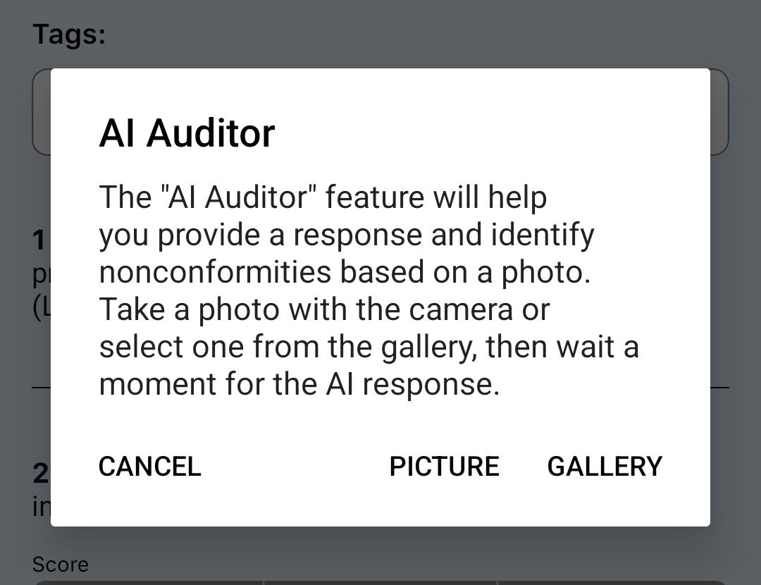AI auditor photo selection