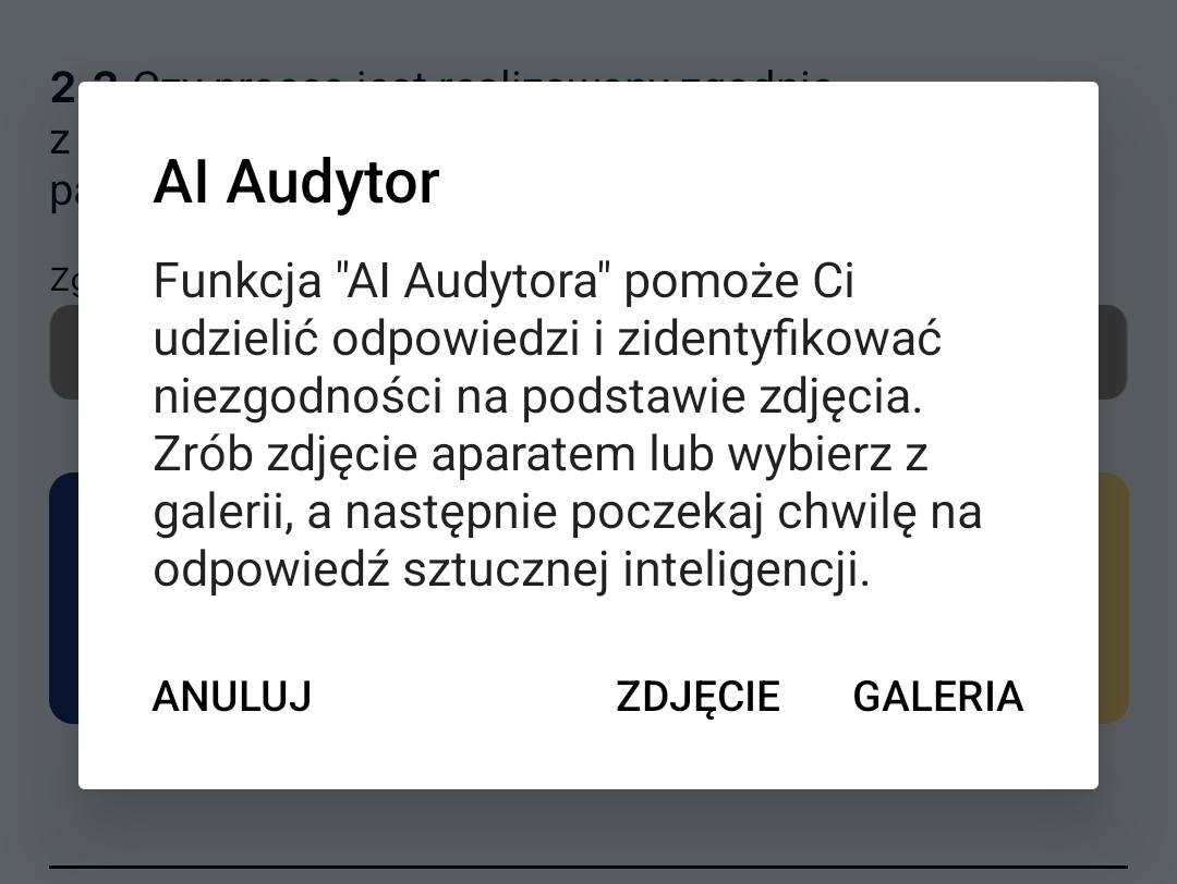 Wybór zdjęcia dla audytora AI