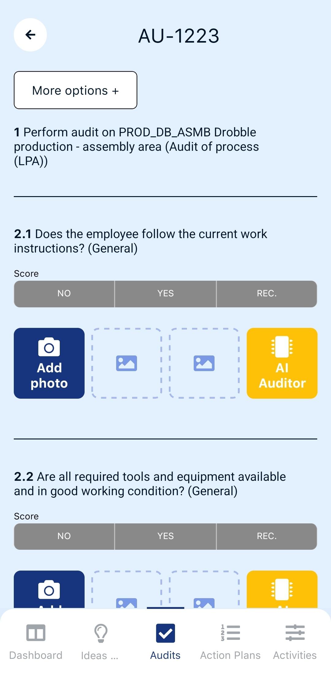 Performing the audit