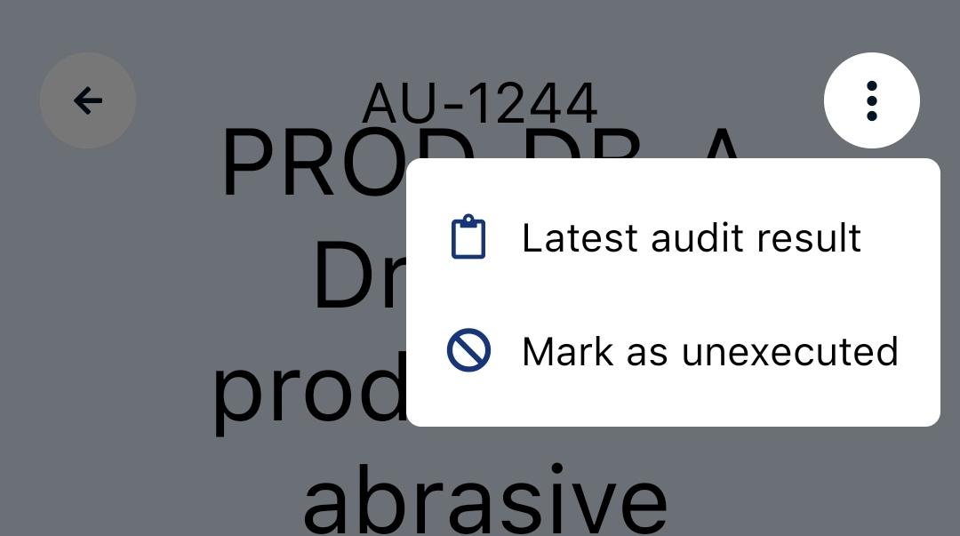 Audit settings