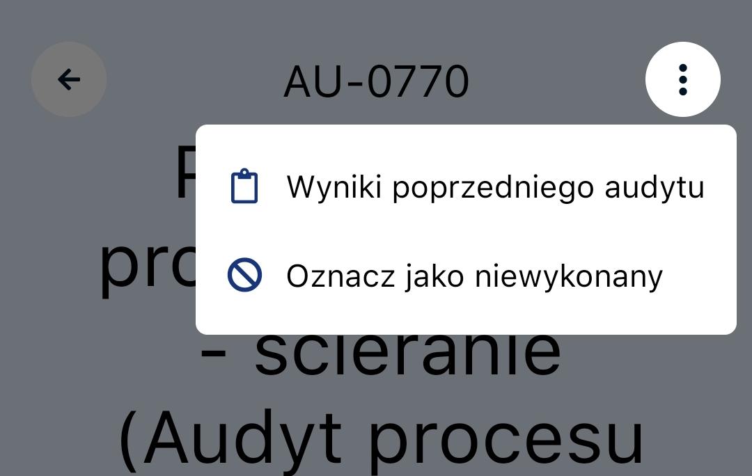 Ustawienia audytu