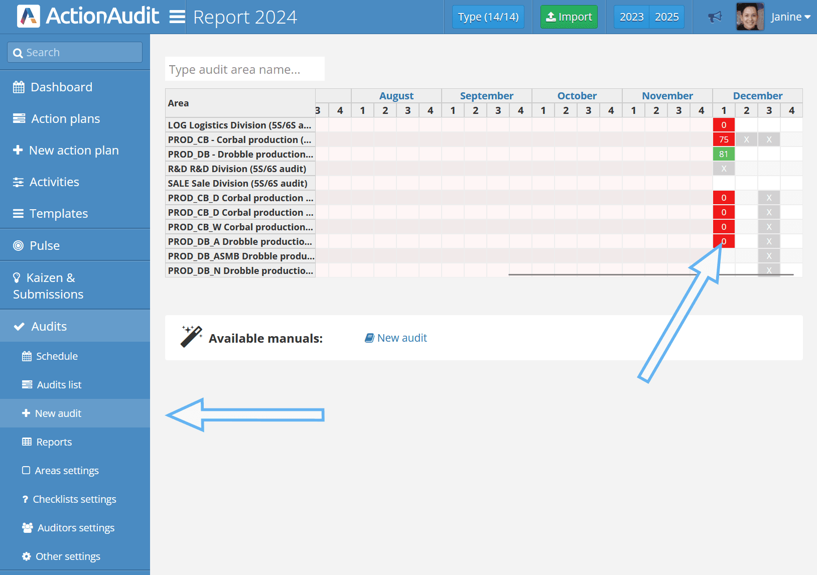 Manual audit creation