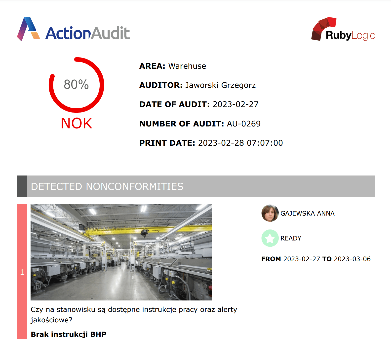 Audit Execution Report