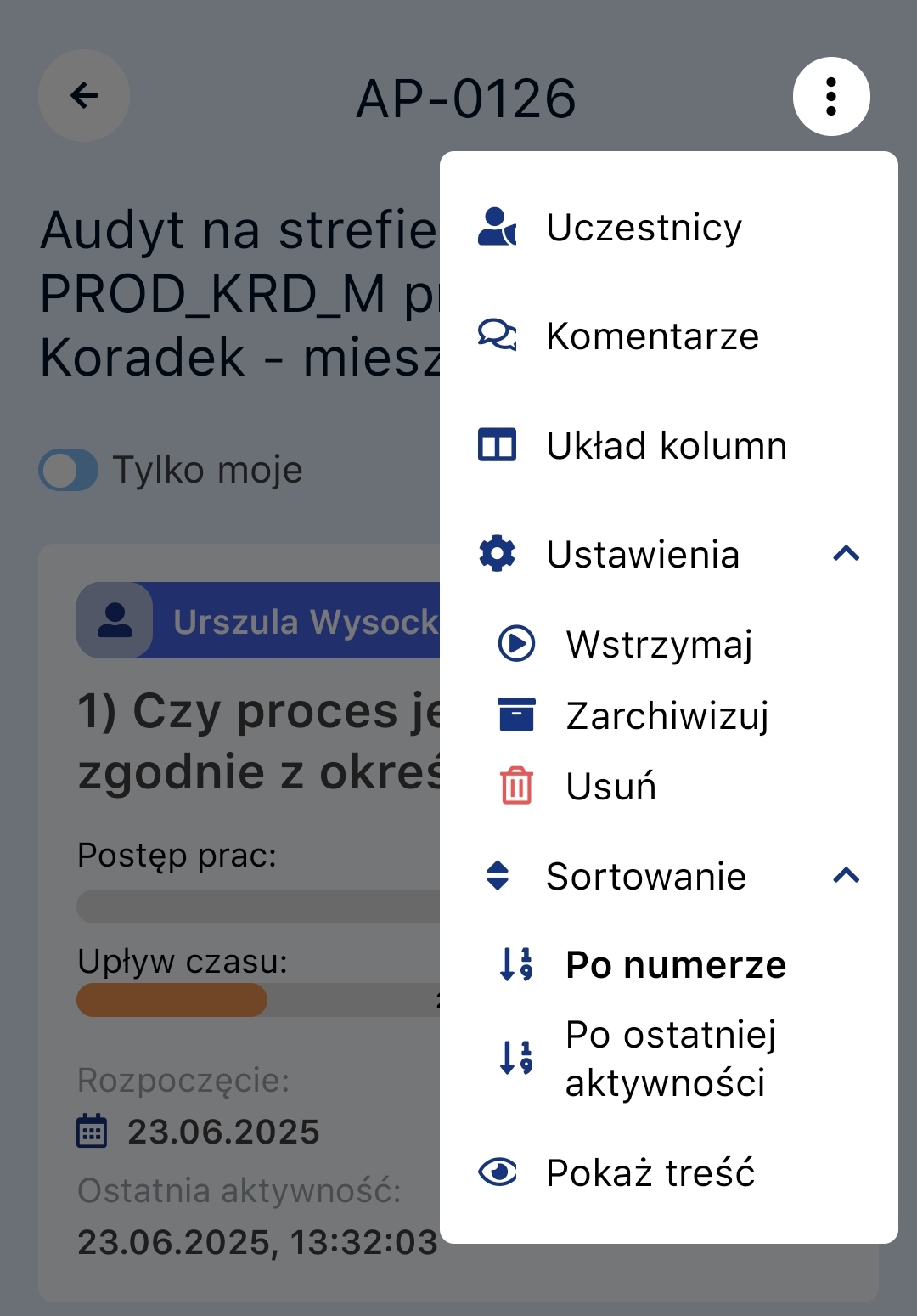 Ustawienia planu działań