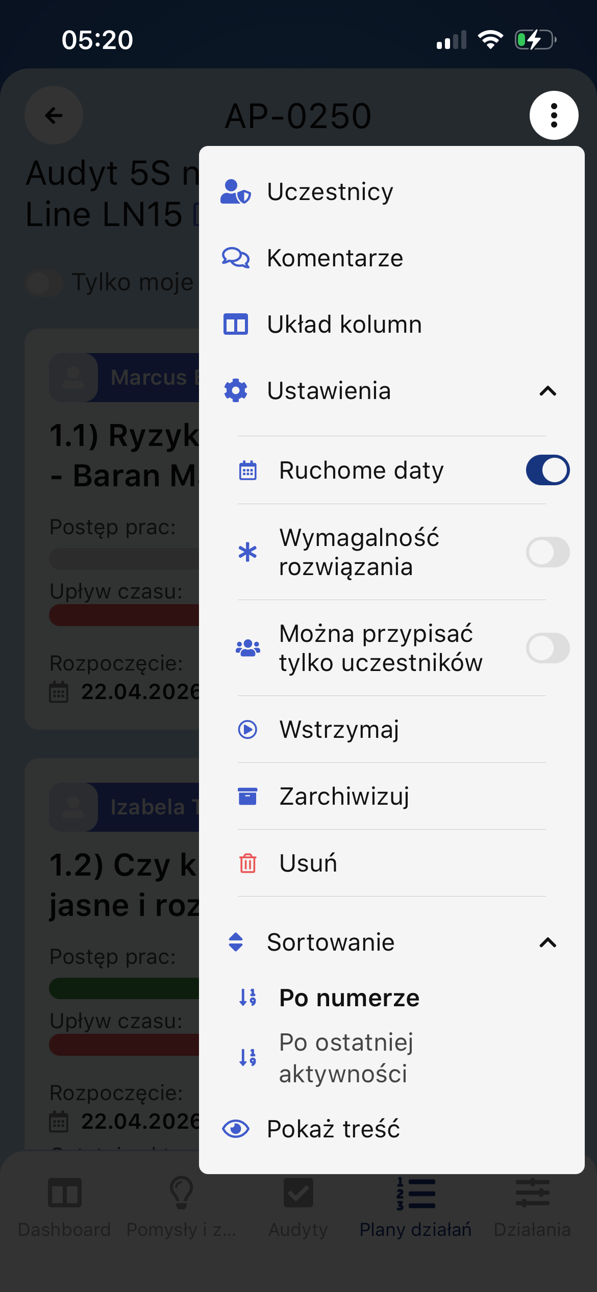 Ustawienia planu działań