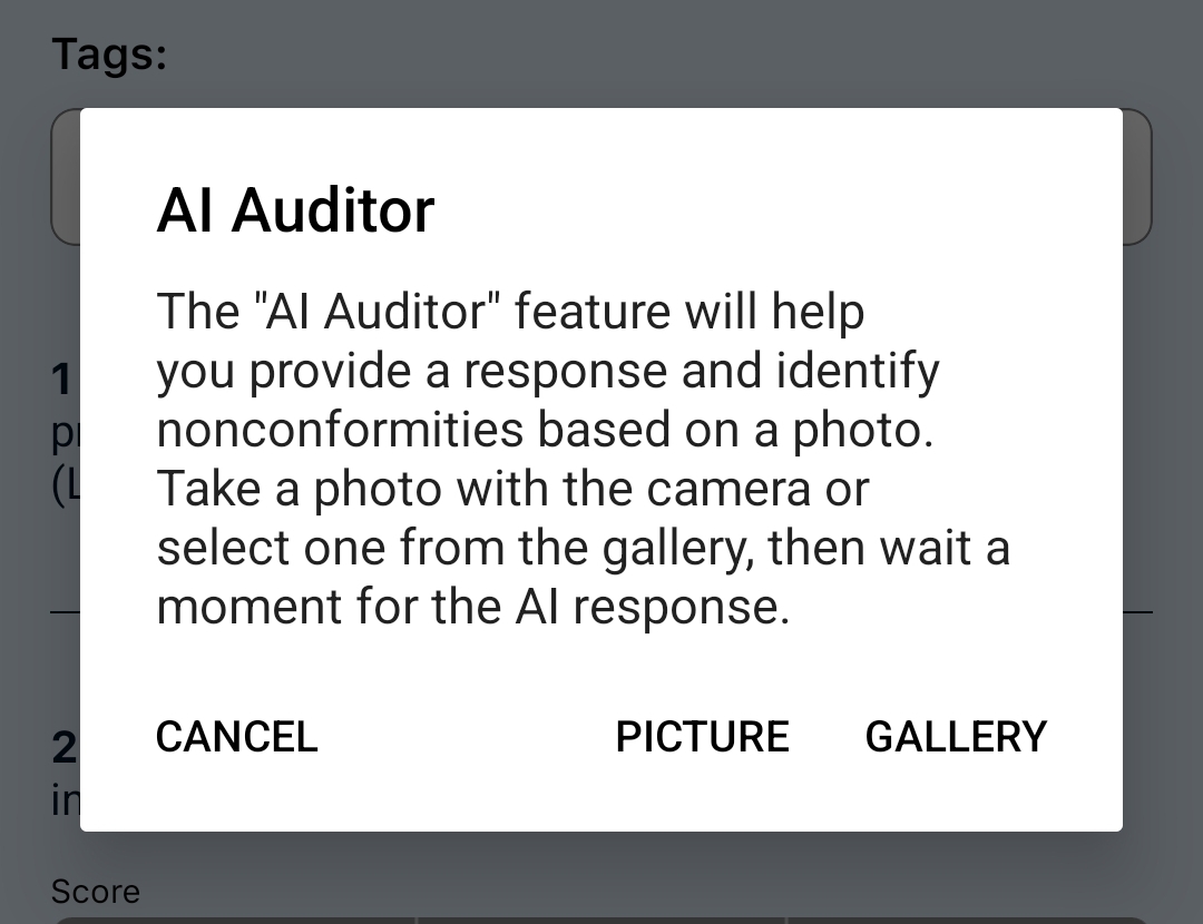AI auditor photo selection