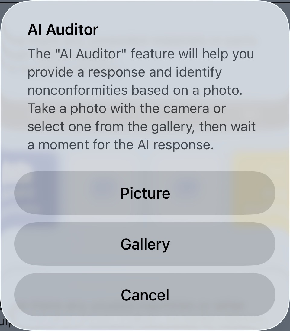 AI auditor photo selection