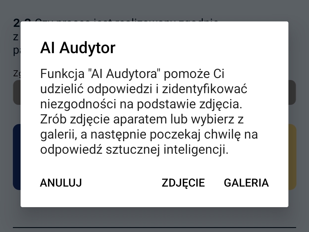 Wybór zdjęcia dla audytora AI