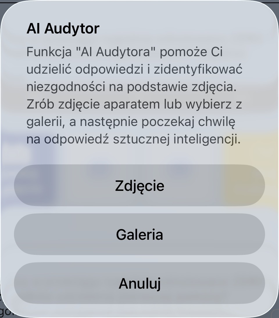 Wybór zdjęcia dla audytora AI