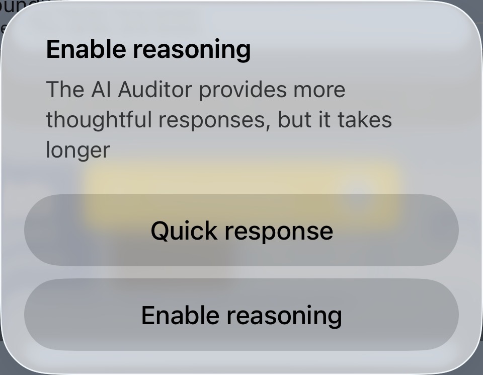 AI auditor processing