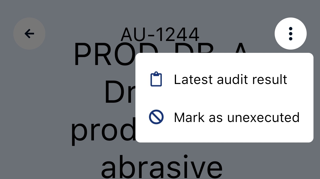 Audit settings
