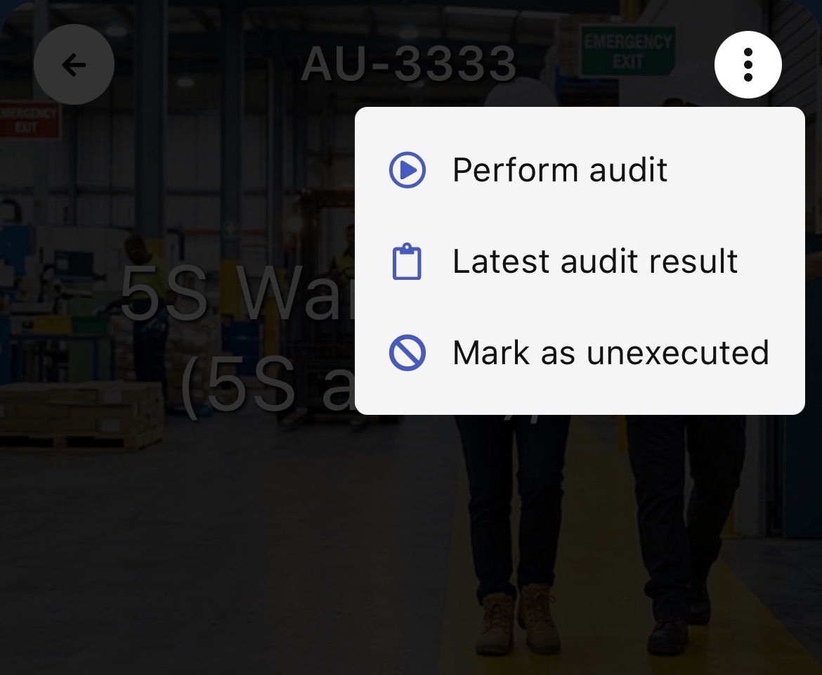 Audit settings