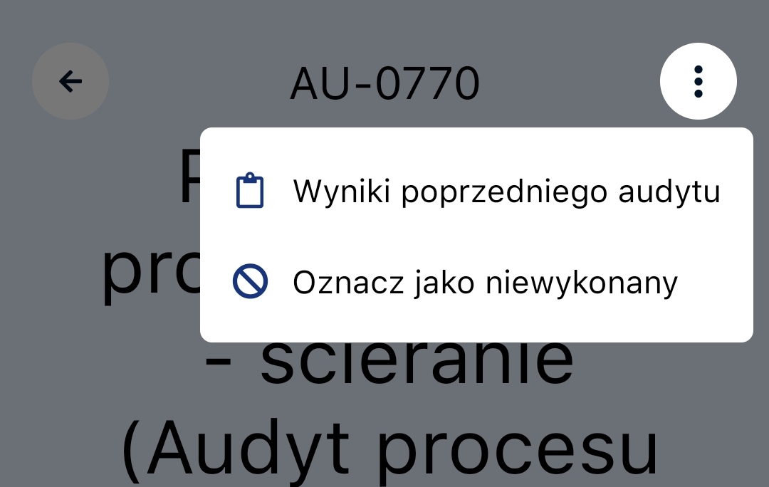 Ustawienia audytu