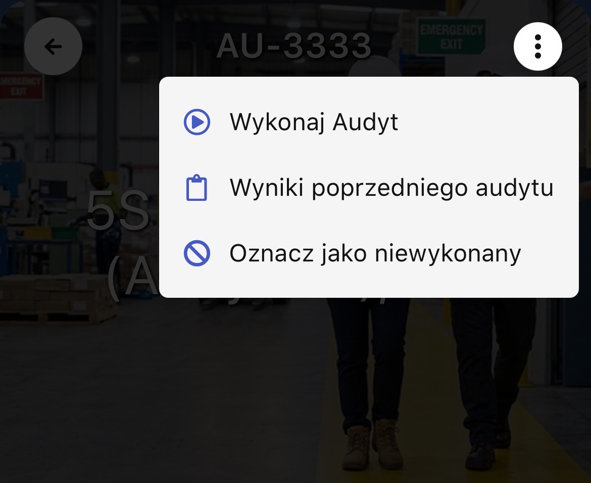 Ustawienia audytu