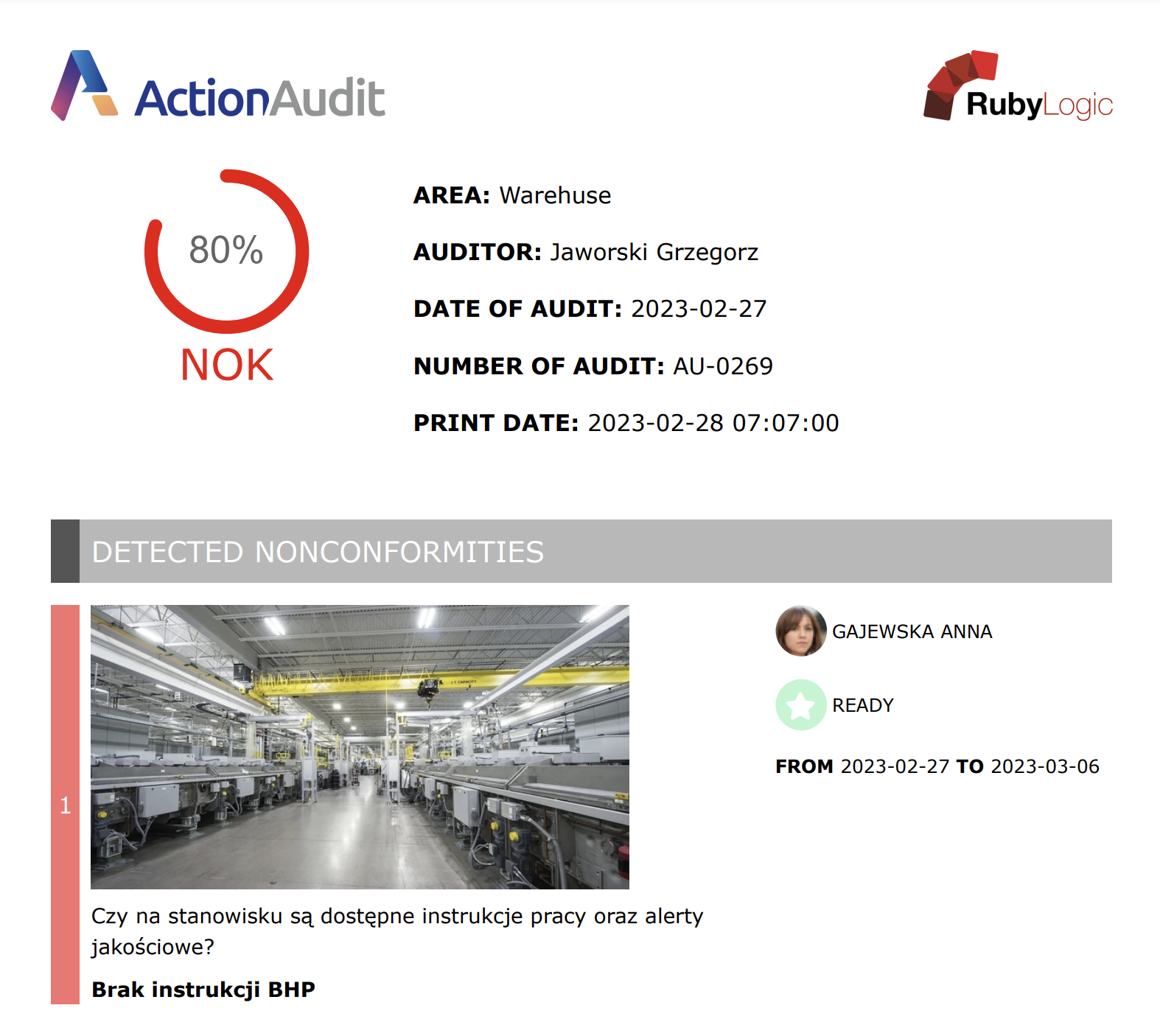 Audit Execution Report