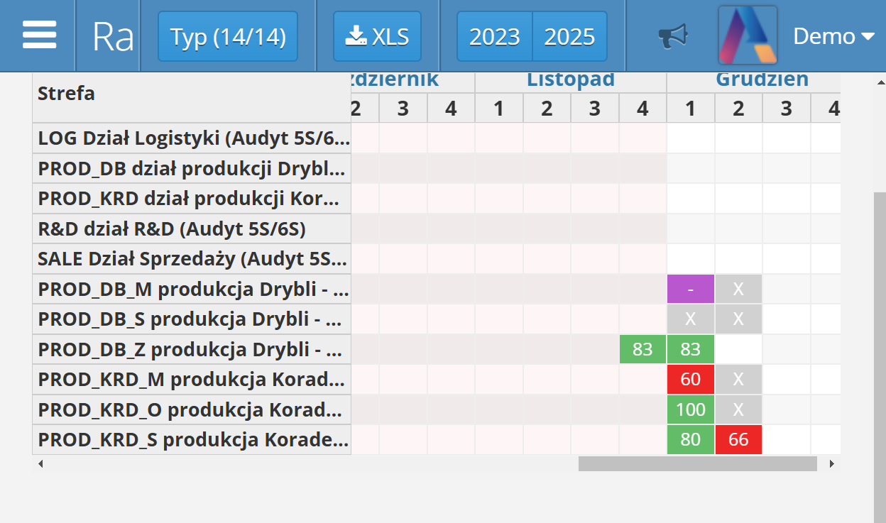 Raport wyników audytów